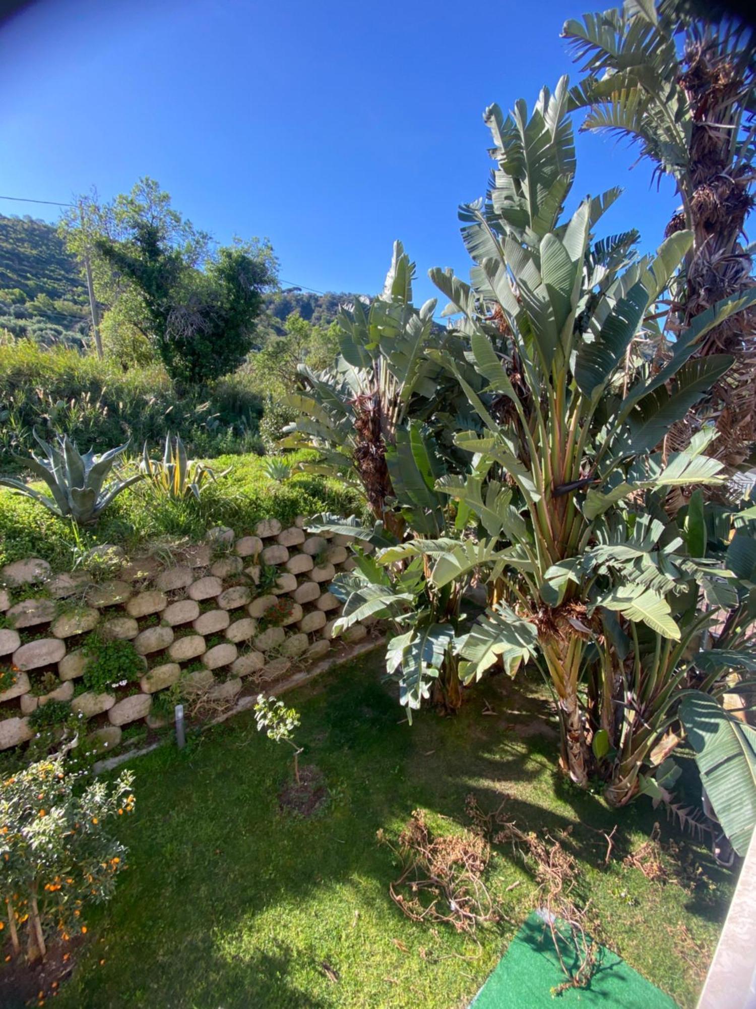 Residenza Roma Bed & Breakfast Tropea Eksteriør bilde